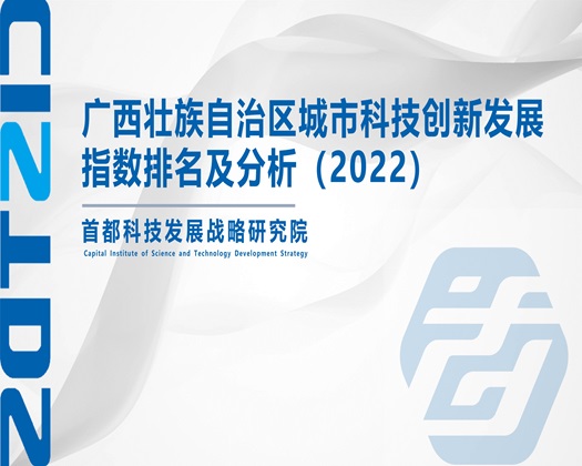 肥婆骚B【成果发布】广西壮族自治区城市科技创新发展指数排名及分析（2022）